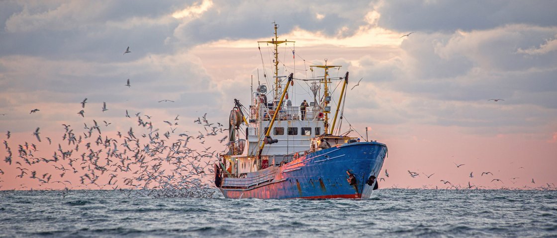 Fischtrawler auf dem Meer umringt von einem Schwarm Möwen