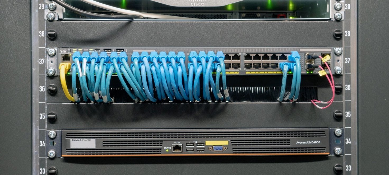 Nahaufnahme von blauen Kabeln in einem Netzwerk