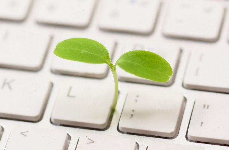 Eine Pflanze wächst aus der Computertastatur