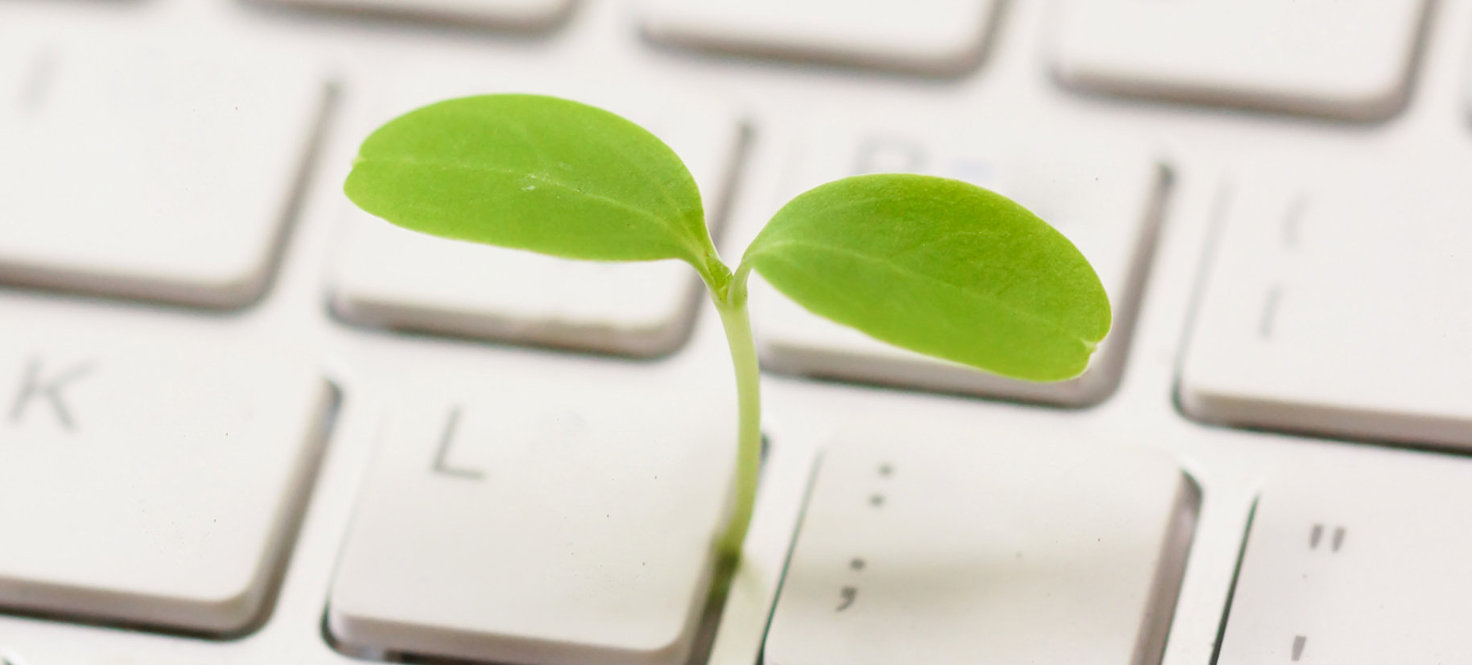 Eine Pflanze wächst aus der Computertastatur