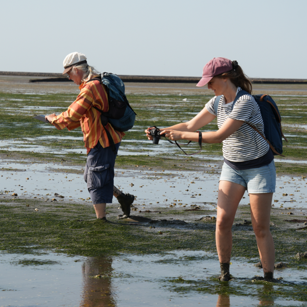 MitarbeiterInnen des Landesamtes für Küstenschutz machen Bilder vom Boden des Wattenmeers